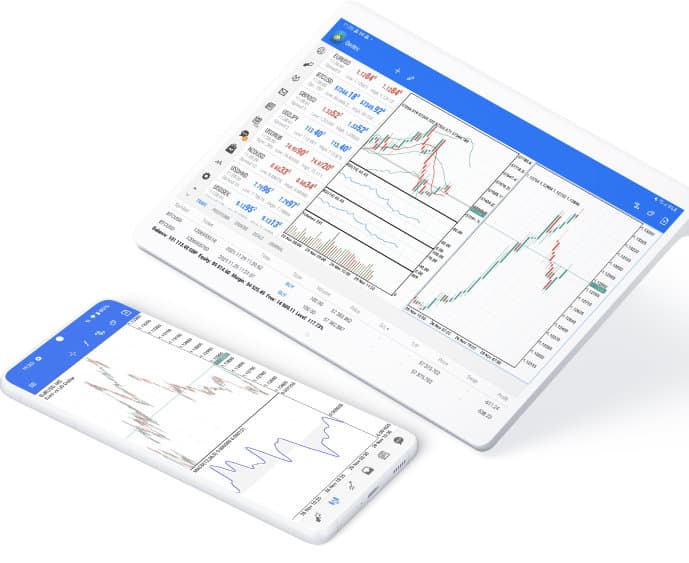 WebTrader Platform Screenshot